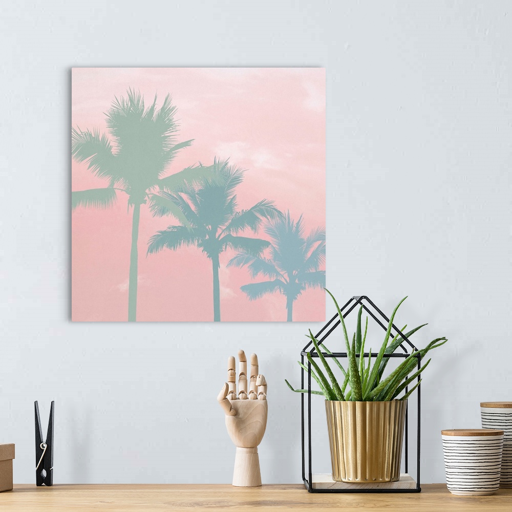 A bohemian room featuring Three palm trees in green and blue tones on a light pink background with white clouds.