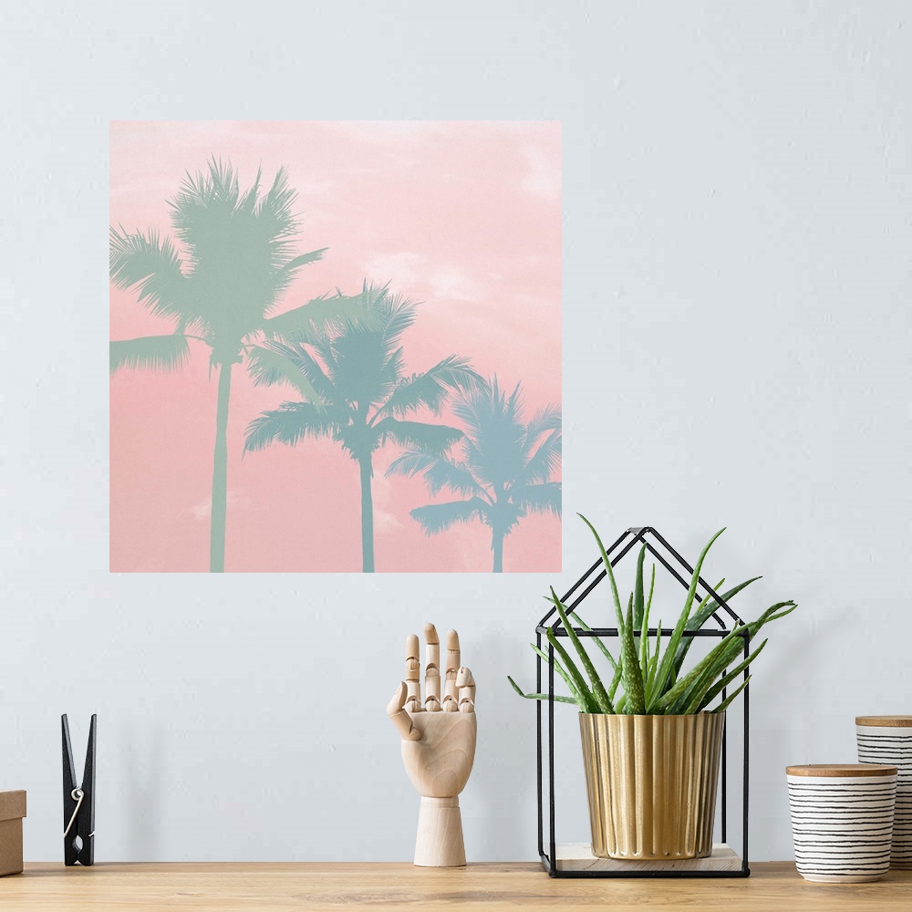 A bohemian room featuring Three palm trees in green and blue tones on a light pink background with white clouds.