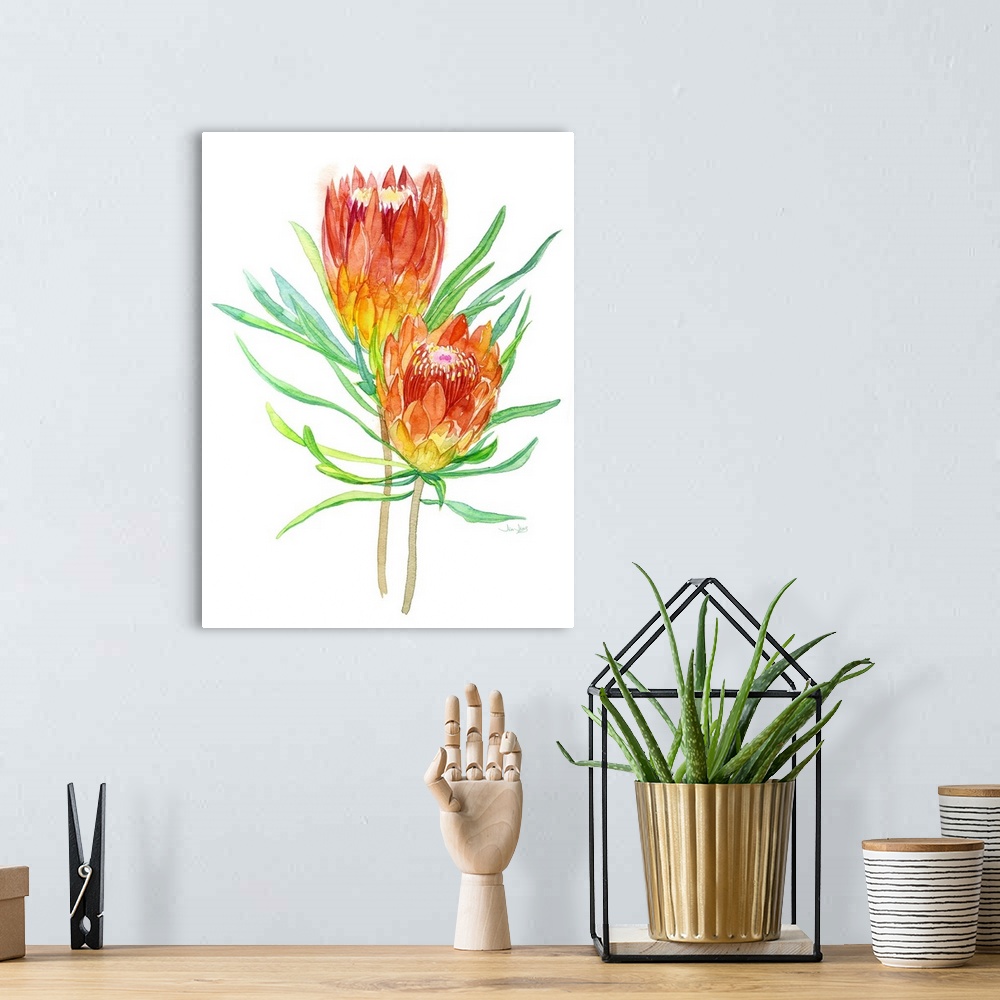 A bohemian room featuring Watercolor painting of two red, orange, and yellow tropical flowers on a white background.