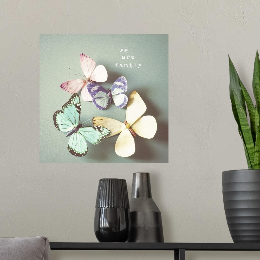 A modern room featuring Photograph of colorful butterfly hovering over a pale green surface, with white text.