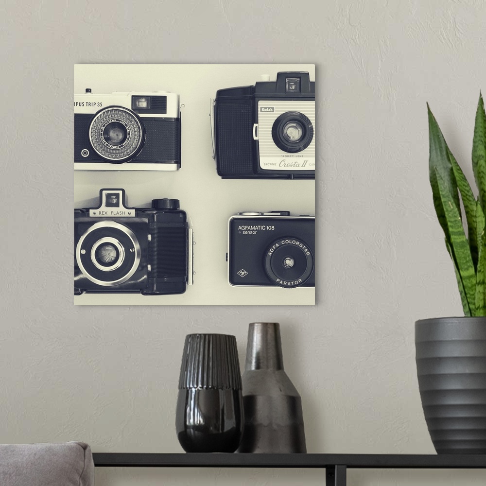 A modern room featuring 4 Vintage Cameras