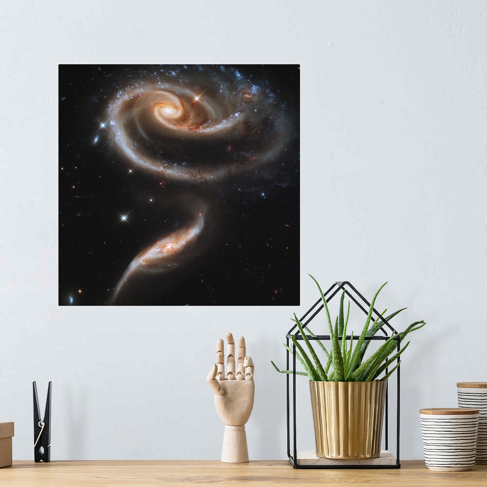 A bohemian room featuring A Rose Made of Galaxies Highlights Hubble's 21st Anniversary