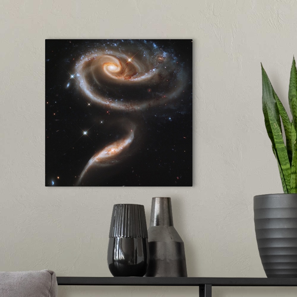 A modern room featuring A Rose Made of Galaxies Highlights Hubble's 21st Anniversary