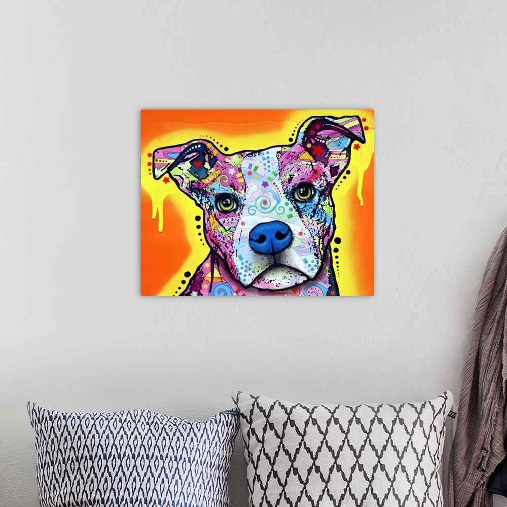 A bohemian room featuring Pit bull, dog, many colors