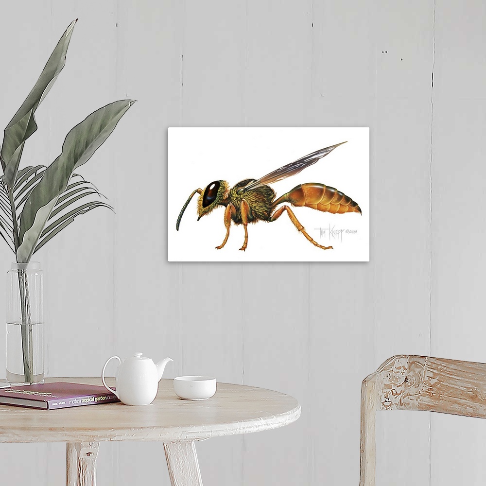 A farmhouse room featuring A Wasp