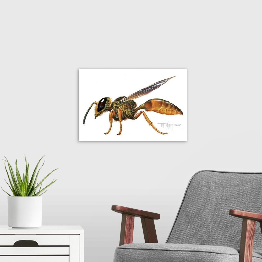 A modern room featuring A Wasp