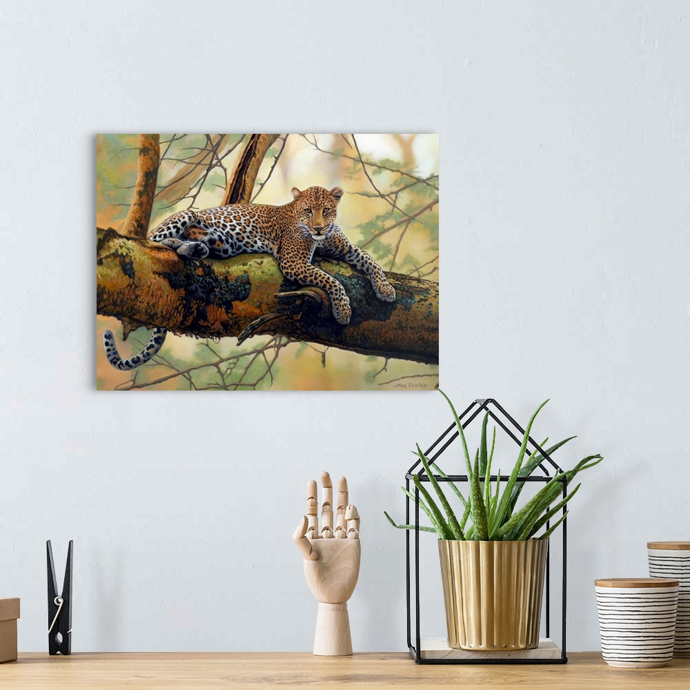 A bohemian room featuring African leopard lying on a tree branch