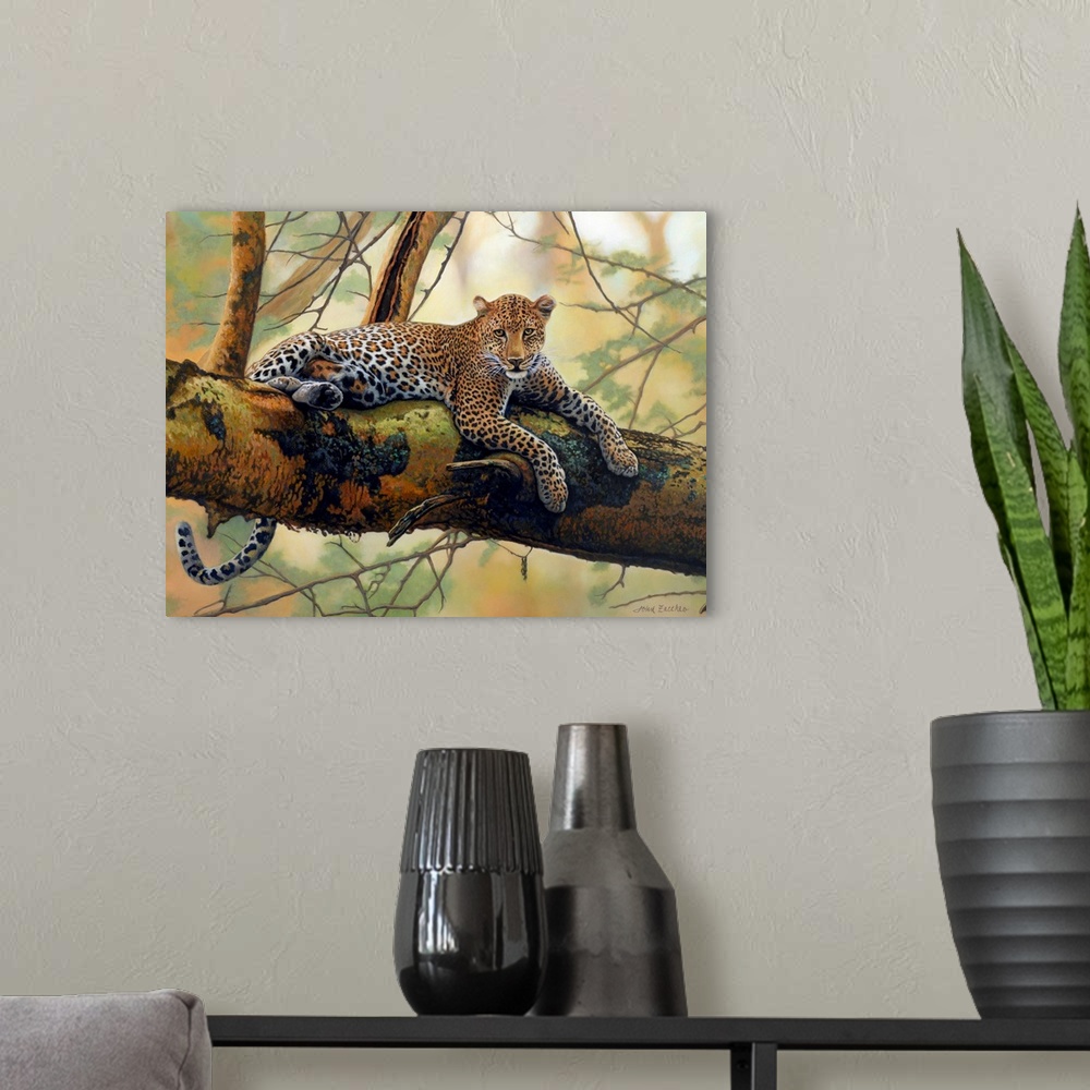 A modern room featuring African leopard lying on a tree branch