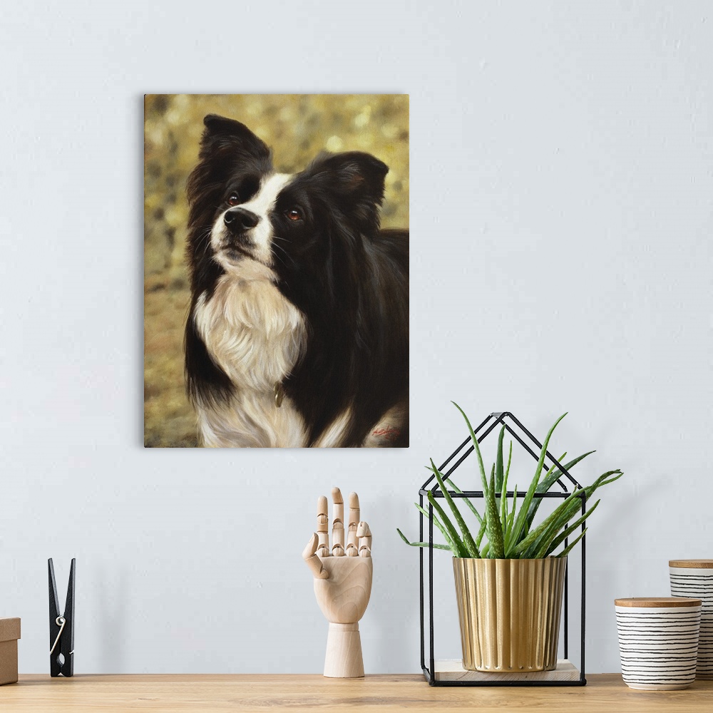 A bohemian room featuring Contemporary painting of a black and white shepherd dog.