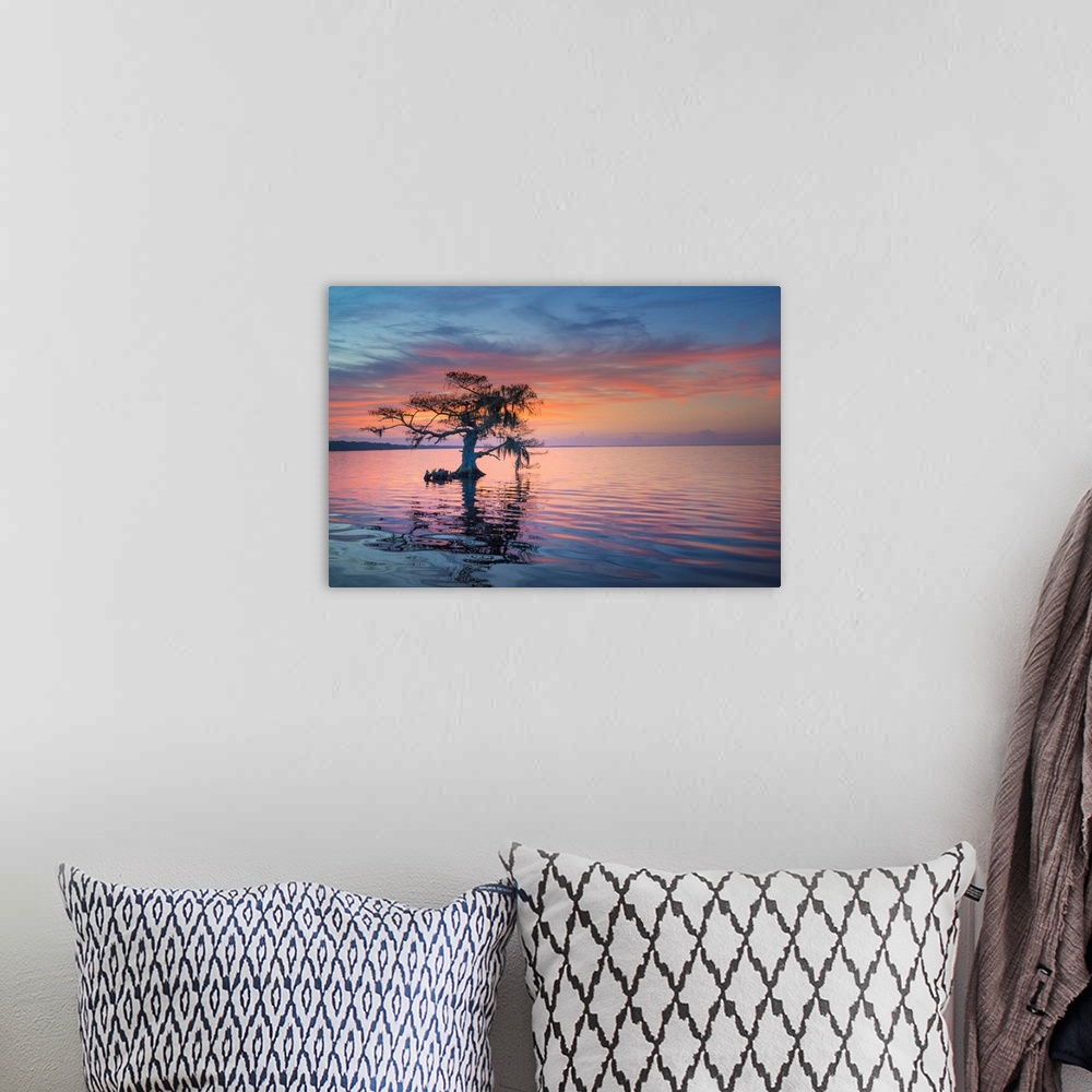 A bohemian room featuring Alone at Sunrise