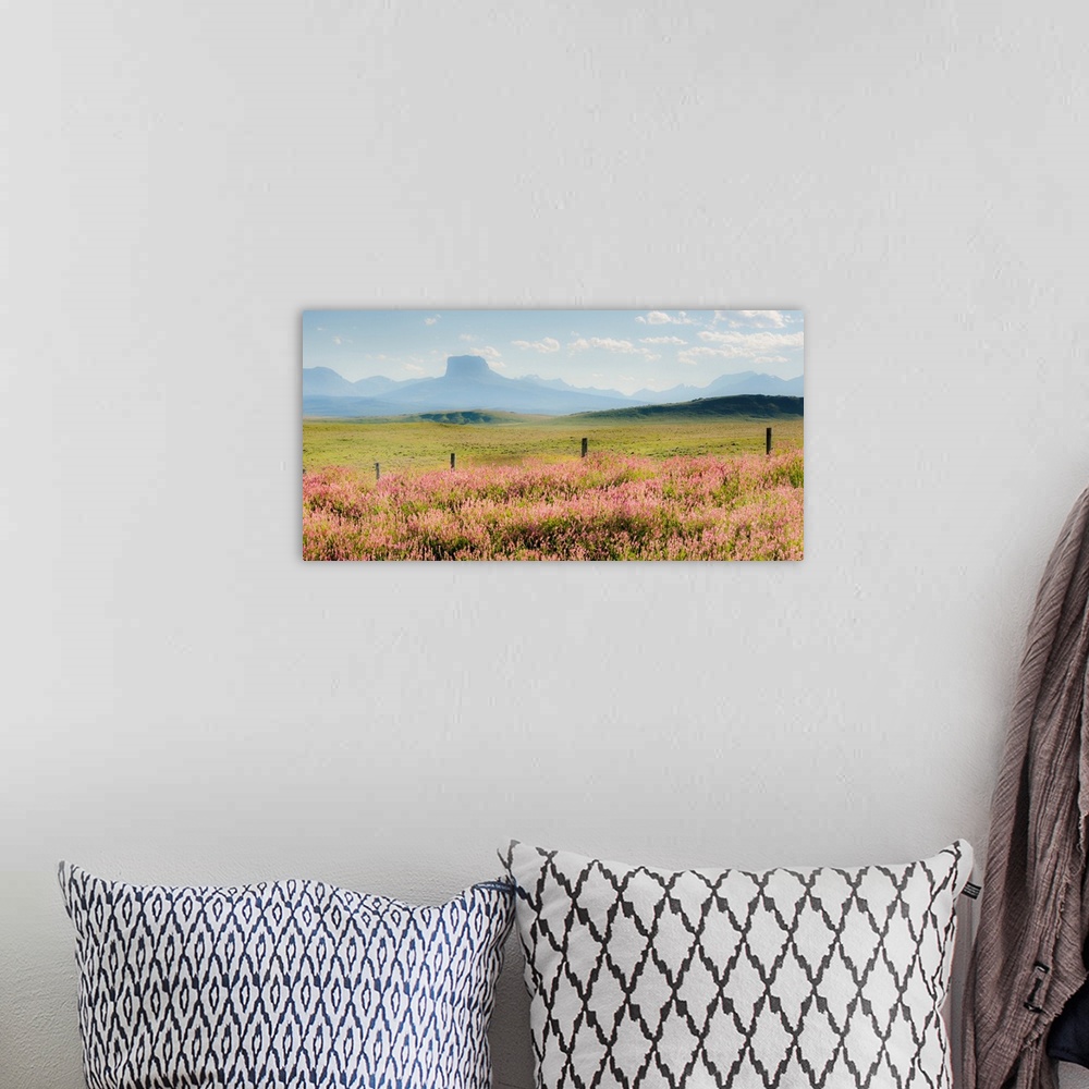 A bohemian room featuring field of flowers with mountains, color photography