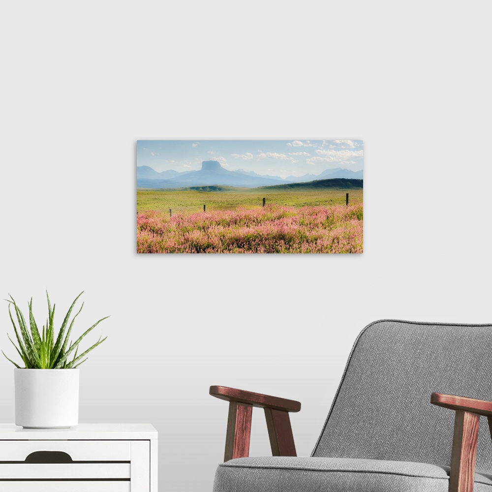 A modern room featuring field of flowers with mountains, color photography