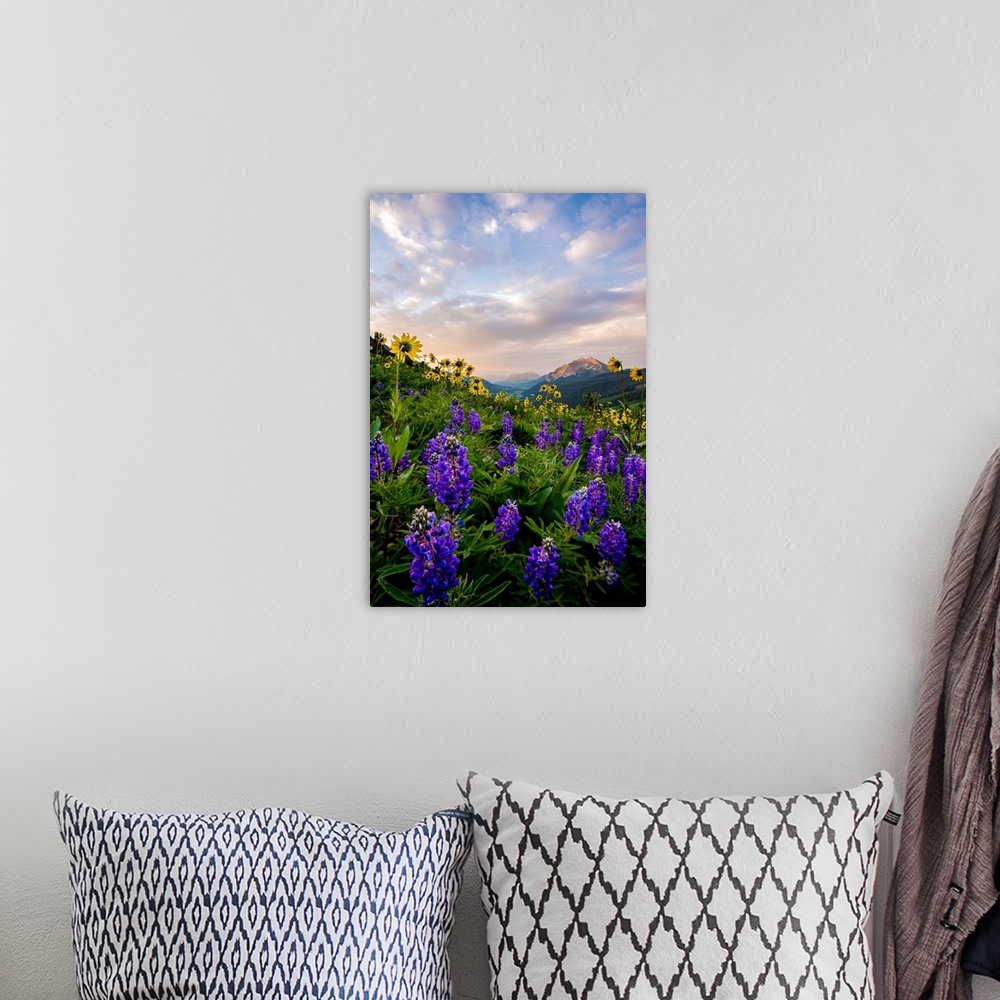 A bohemian room featuring Photograph of vibrant wildflowers in a field with mountains in the distance.