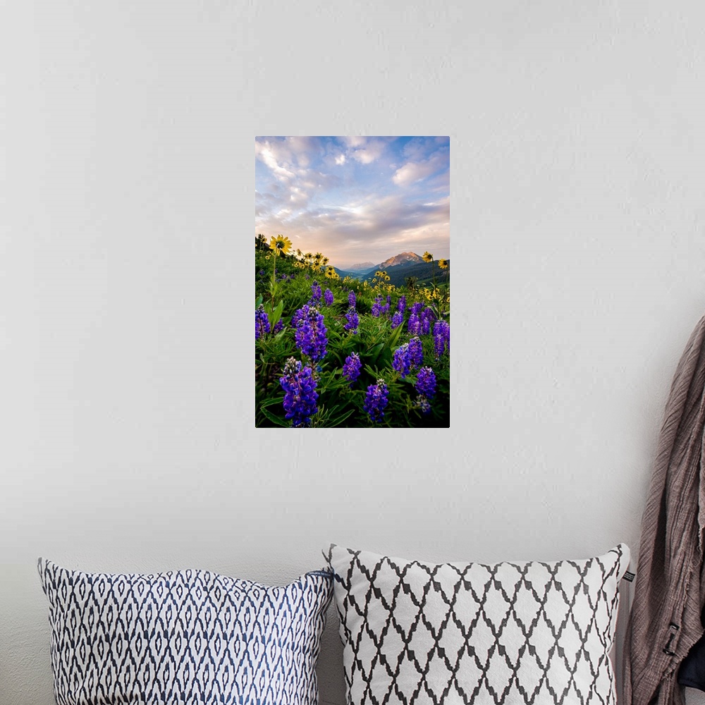 A bohemian room featuring Photograph of vibrant wildflowers in a field with mountains in the distance.
