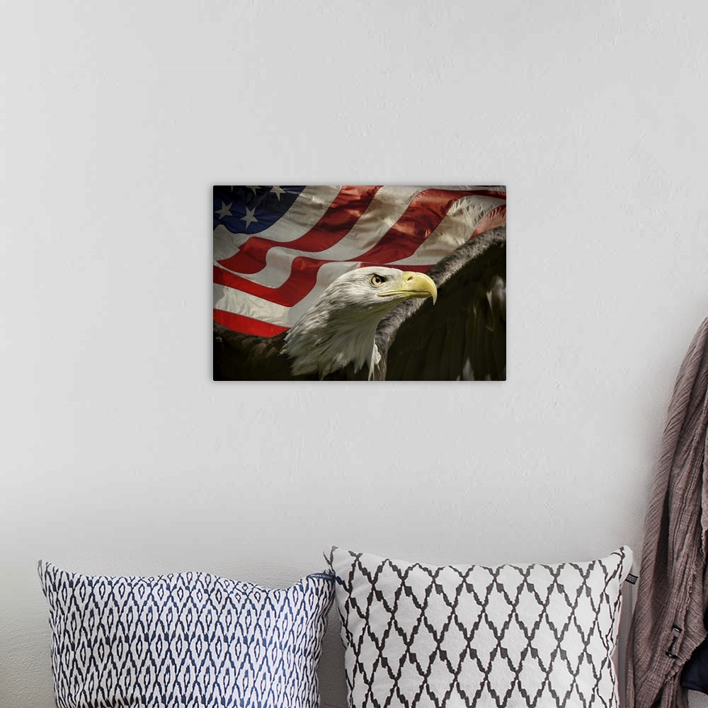 A bohemian room featuring Patriotic image of a Bald Eagle in front of an American Flag.