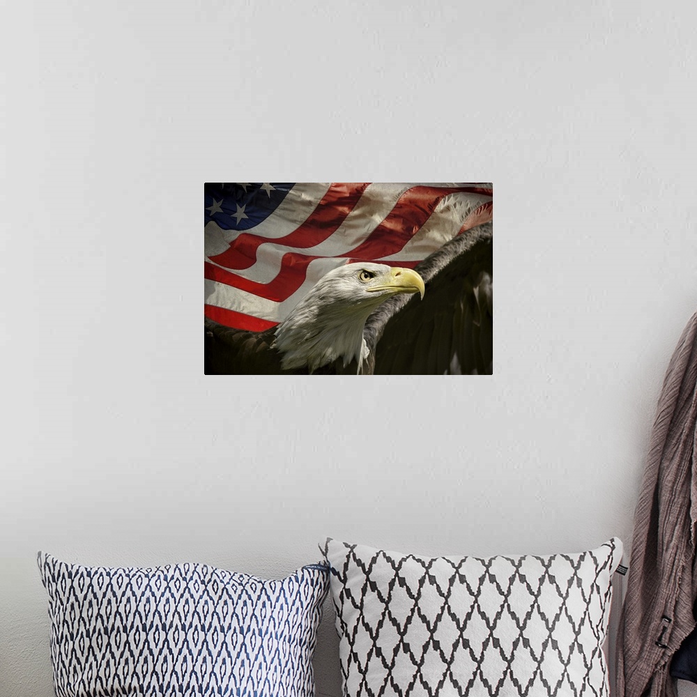 A bohemian room featuring Patriotic image of a Bald Eagle in front of an American Flag.