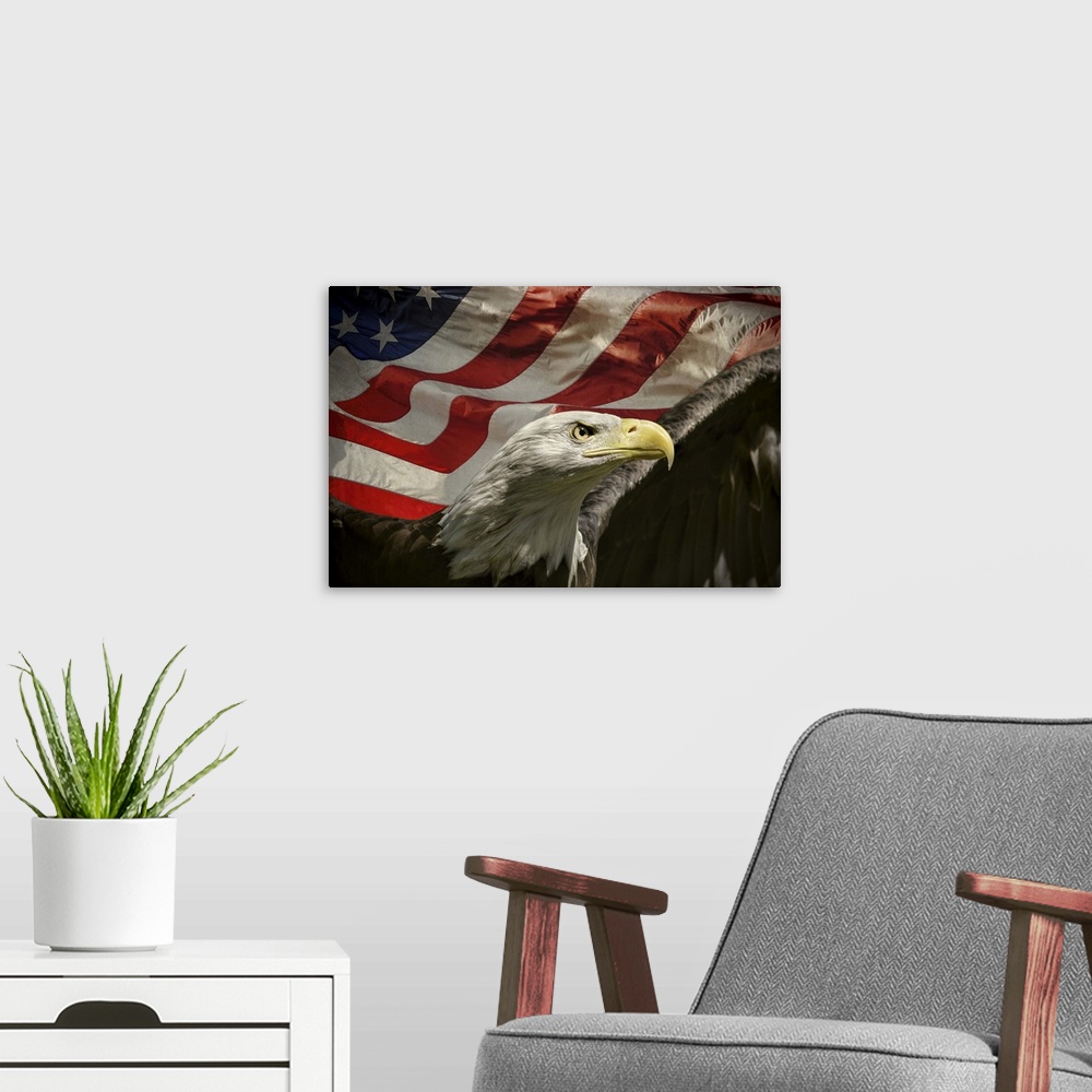 A modern room featuring Patriotic image of a Bald Eagle in front of an American Flag.