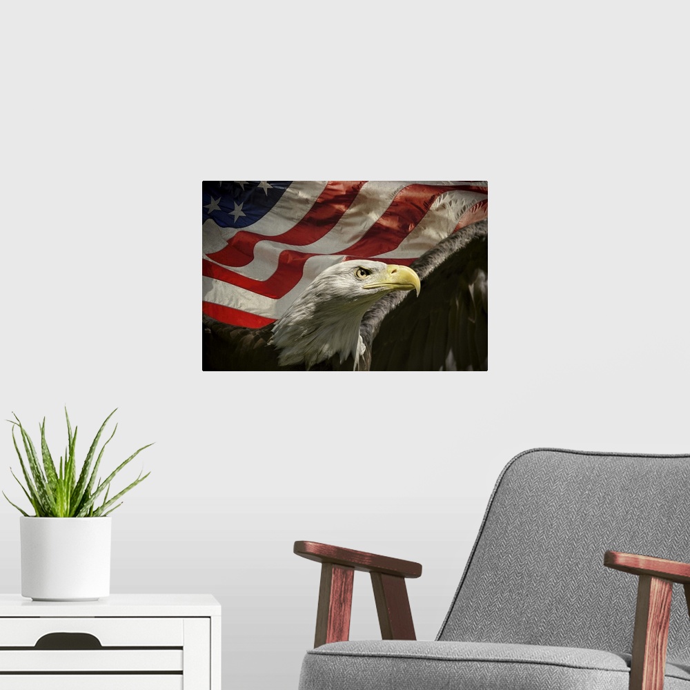 A modern room featuring Patriotic image of a Bald Eagle in front of an American Flag.