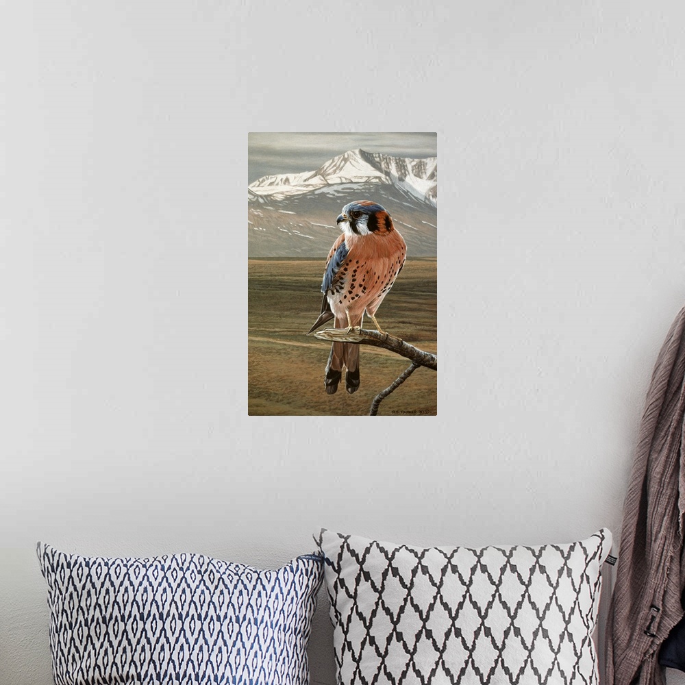A bohemian room featuring An American Kestrel rests on a tree limb, a snowy mountaintop is seen in the distance.