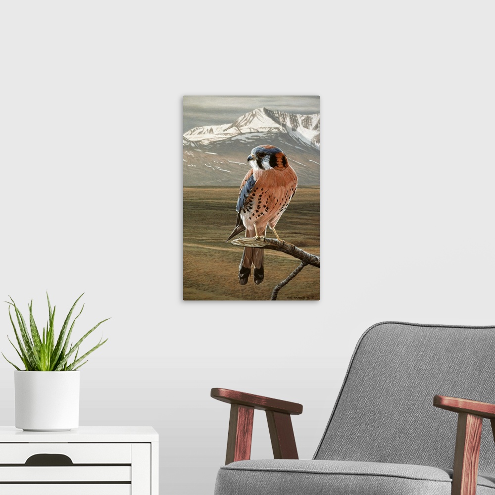 A modern room featuring An American Kestrel rests on a tree limb, a snowy mountaintop is seen in the distance.