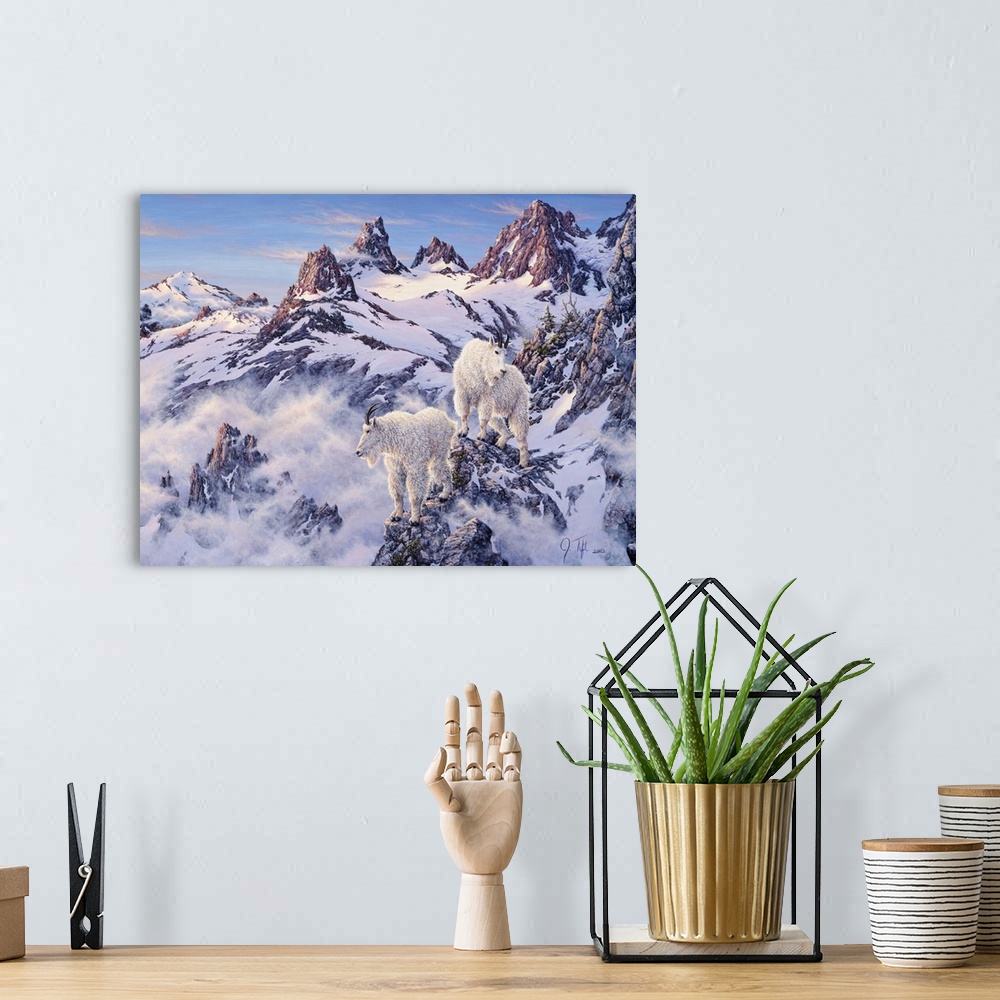 A bohemian room featuring Mountain goats on snowy, rocky ledges.winter mountain
