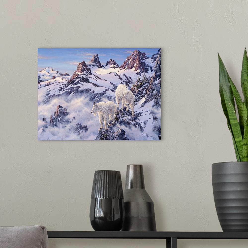 A modern room featuring Mountain goats on snowy, rocky ledges.winter mountain