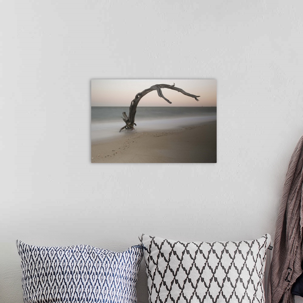 A bohemian room featuring A photograph of piece of driftwood sticking up out of the sand on a beach.