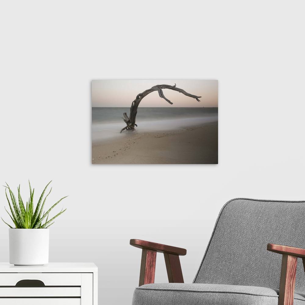 A modern room featuring A photograph of piece of driftwood sticking up out of the sand on a beach.