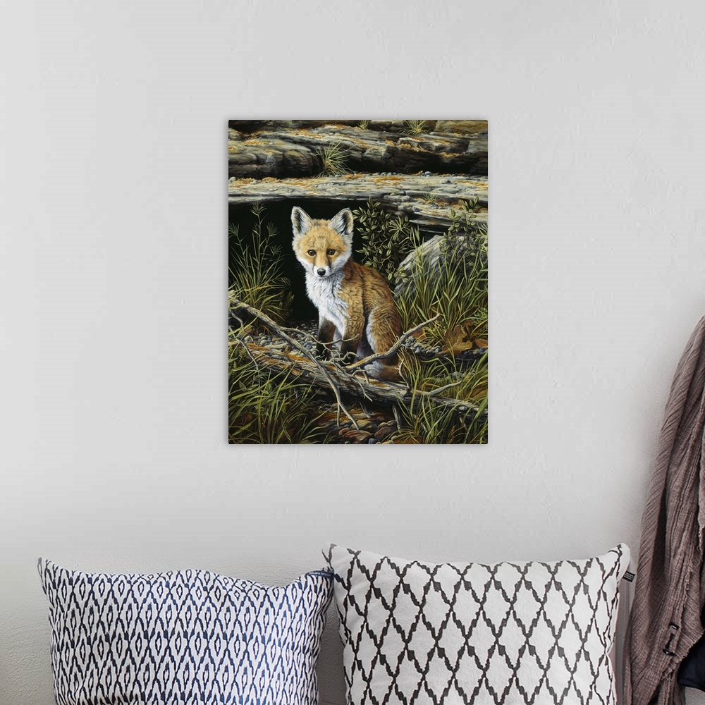 A bohemian room featuring A young fox waits patiently near its den.