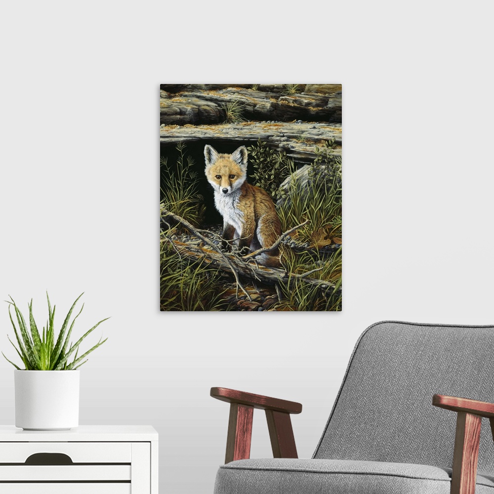 A modern room featuring A young fox waits patiently near its den.