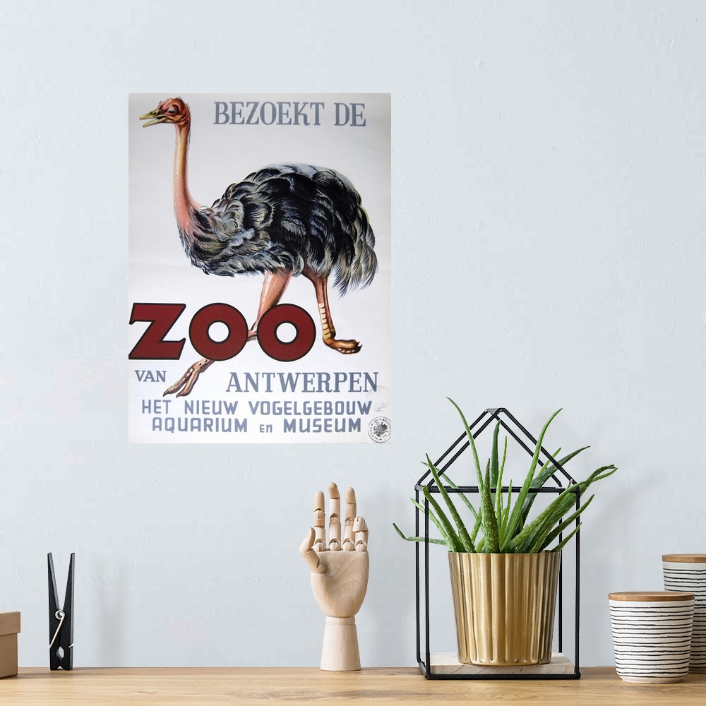 A bohemian room featuring Vintage poster advertisement for Antwerp Zoo.
