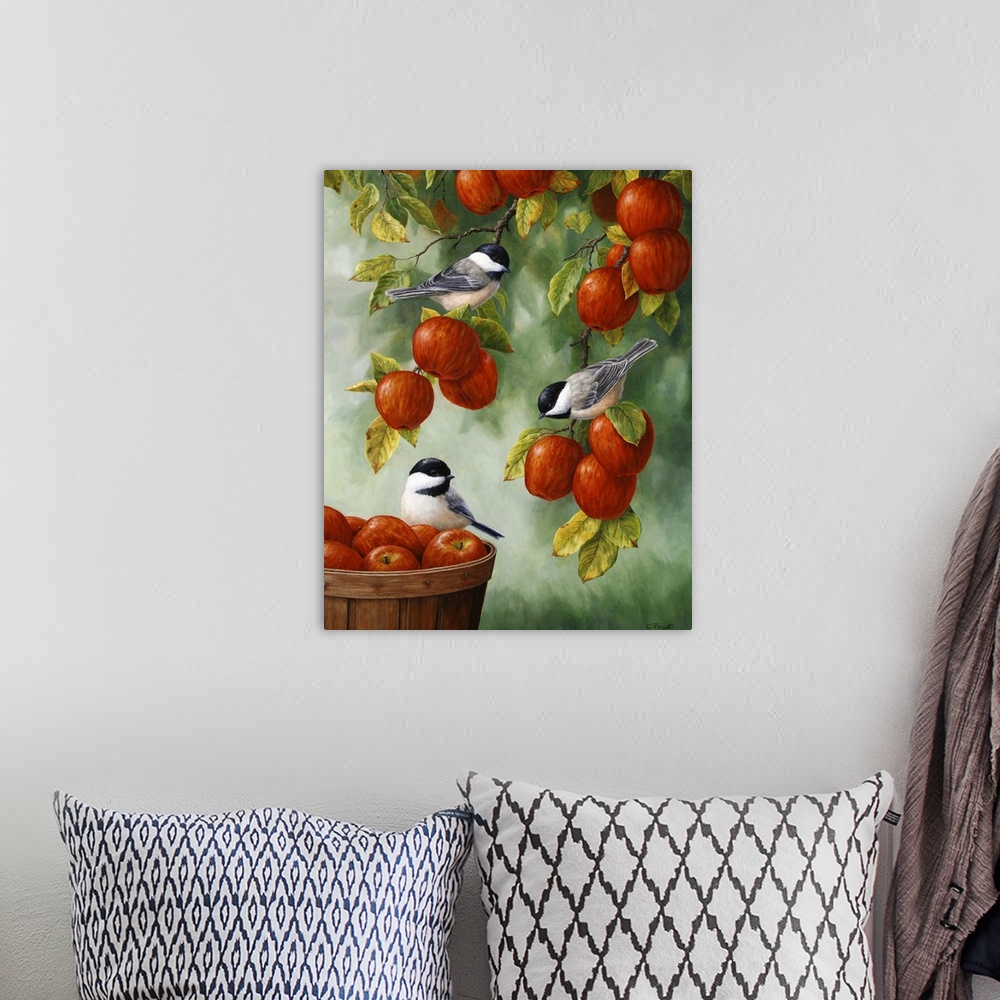 A bohemian room featuring Three little chickadees perched on apples in an apple tree and basket.
