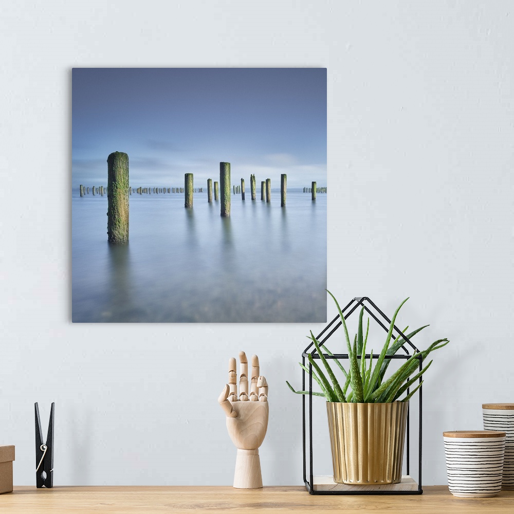 A bohemian room featuring A fine art photograph of pier posts standing in still calm water.