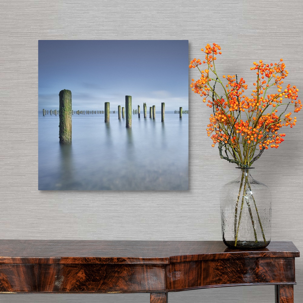 A traditional room featuring A fine art photograph of pier posts standing in still calm water.