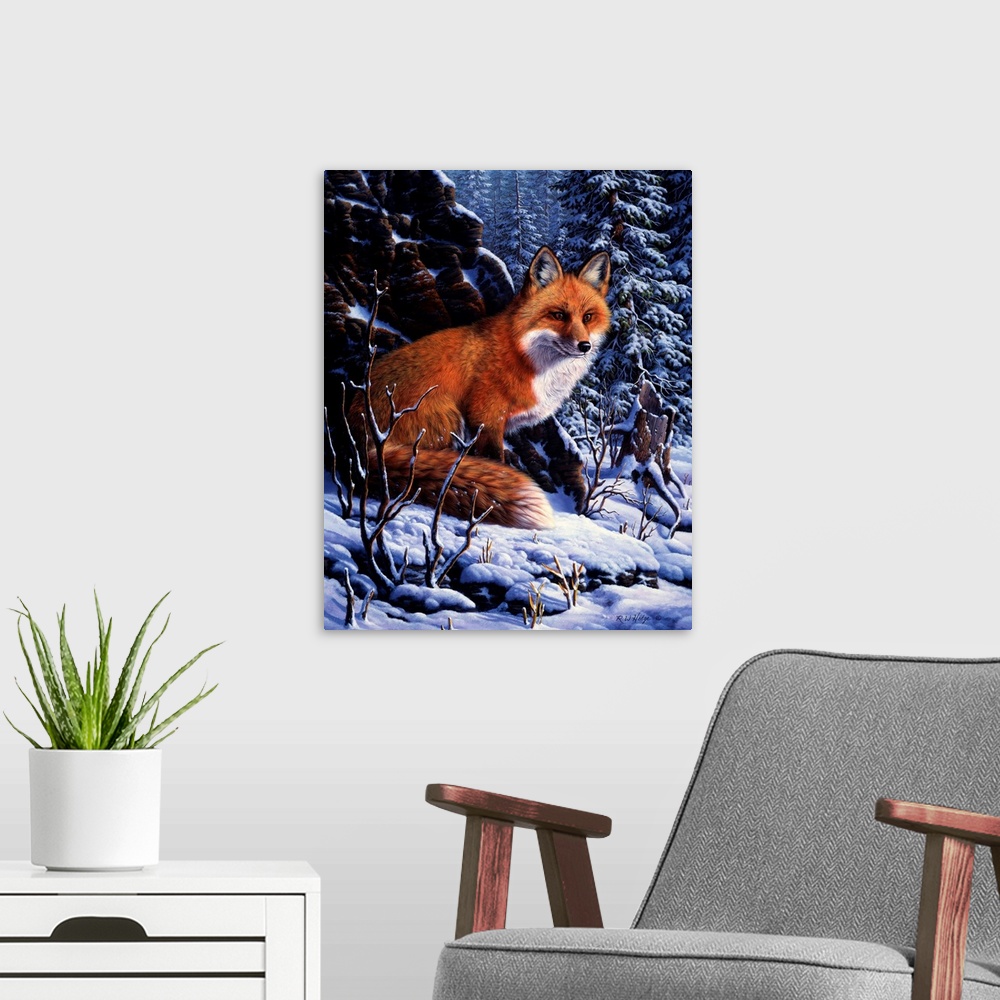 A modern room featuring A red fox sits quietly in the snow.
