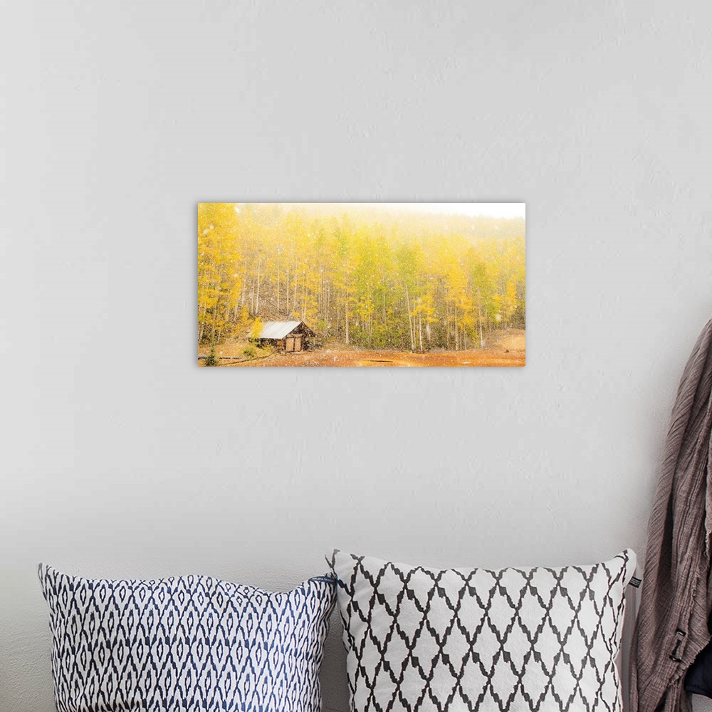 A bohemian room featuring Landscape photograph of yellow and green Autumn trees with a small cabin during snowfall.