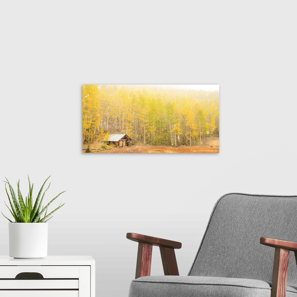 A modern room featuring Landscape photograph of yellow and green Autumn trees with a small cabin during snowfall.