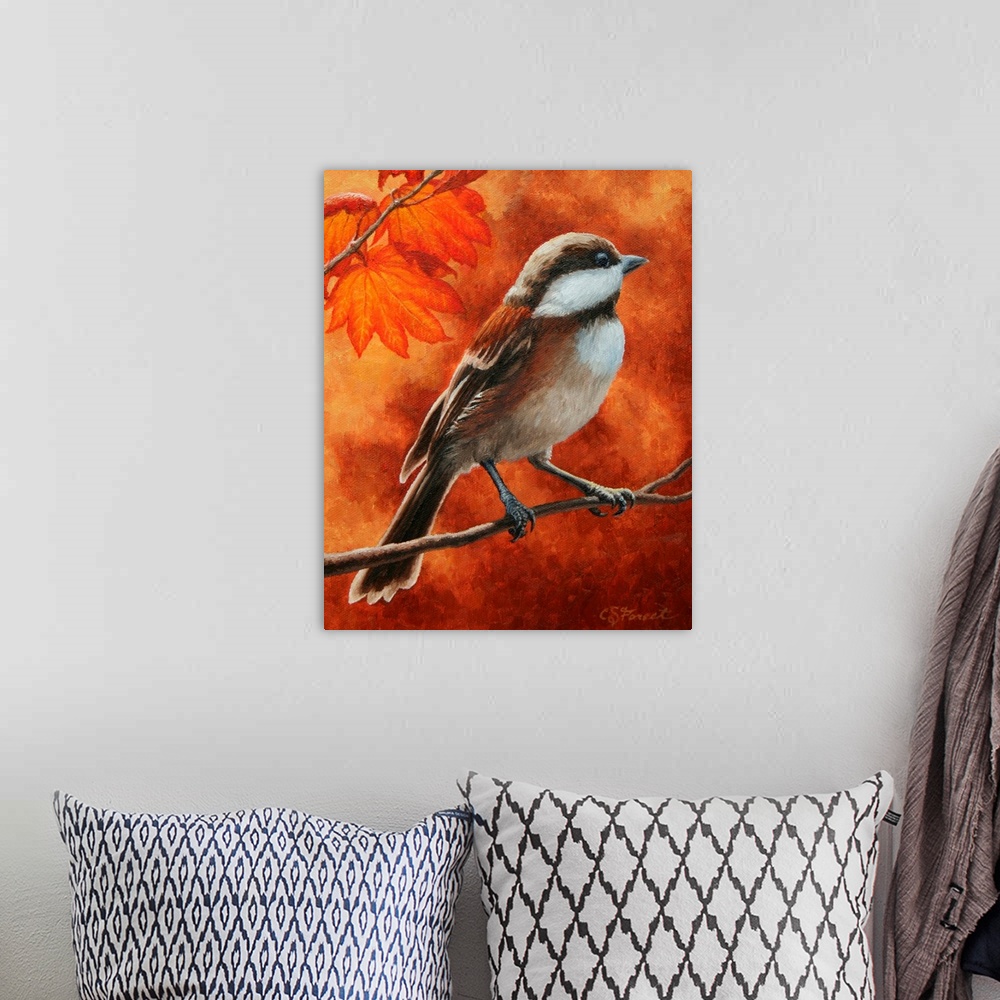 A bohemian room featuring Chickadee on a branch in autumn.