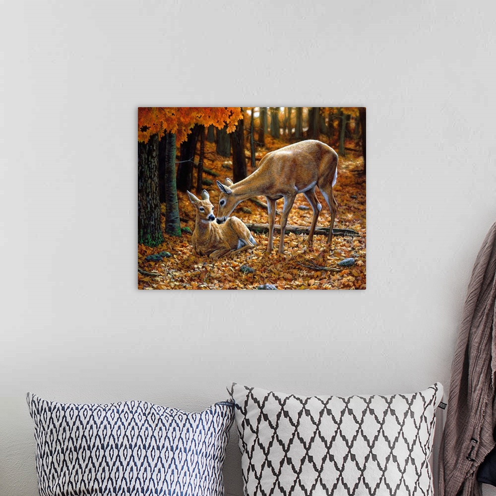 A bohemian room featuring Two Deer in a forestfawn doe