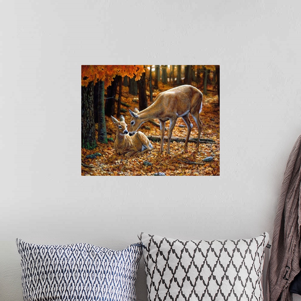 A bohemian room featuring Two Deer in a forestfawn doe