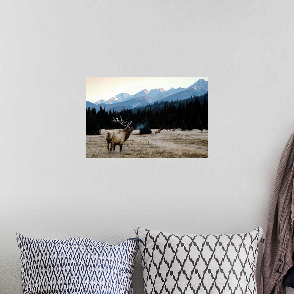 A bohemian room featuring A group of elk in an autumn meadow.