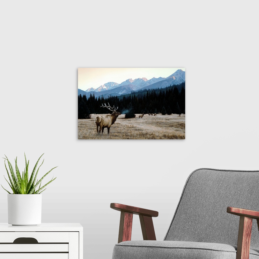 A modern room featuring A group of elk in an autumn meadow.