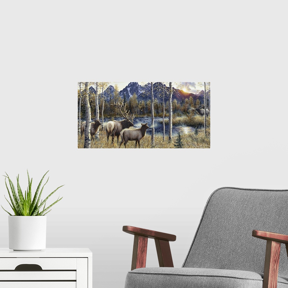 A modern room featuring 3 elk on  one side of the swamp and a bull  on the  other side, the Tetons in the background