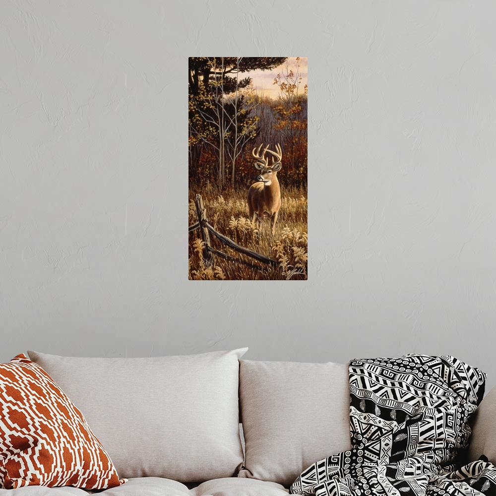 A bohemian room featuring White tail buck standing in a field.