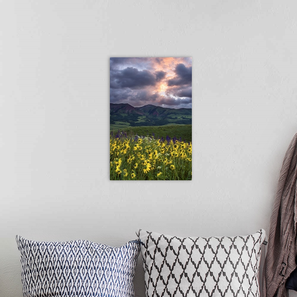 A bohemian room featuring A photograph of a mountain range in a wilderness landscape with dramatic clouds hanging above.