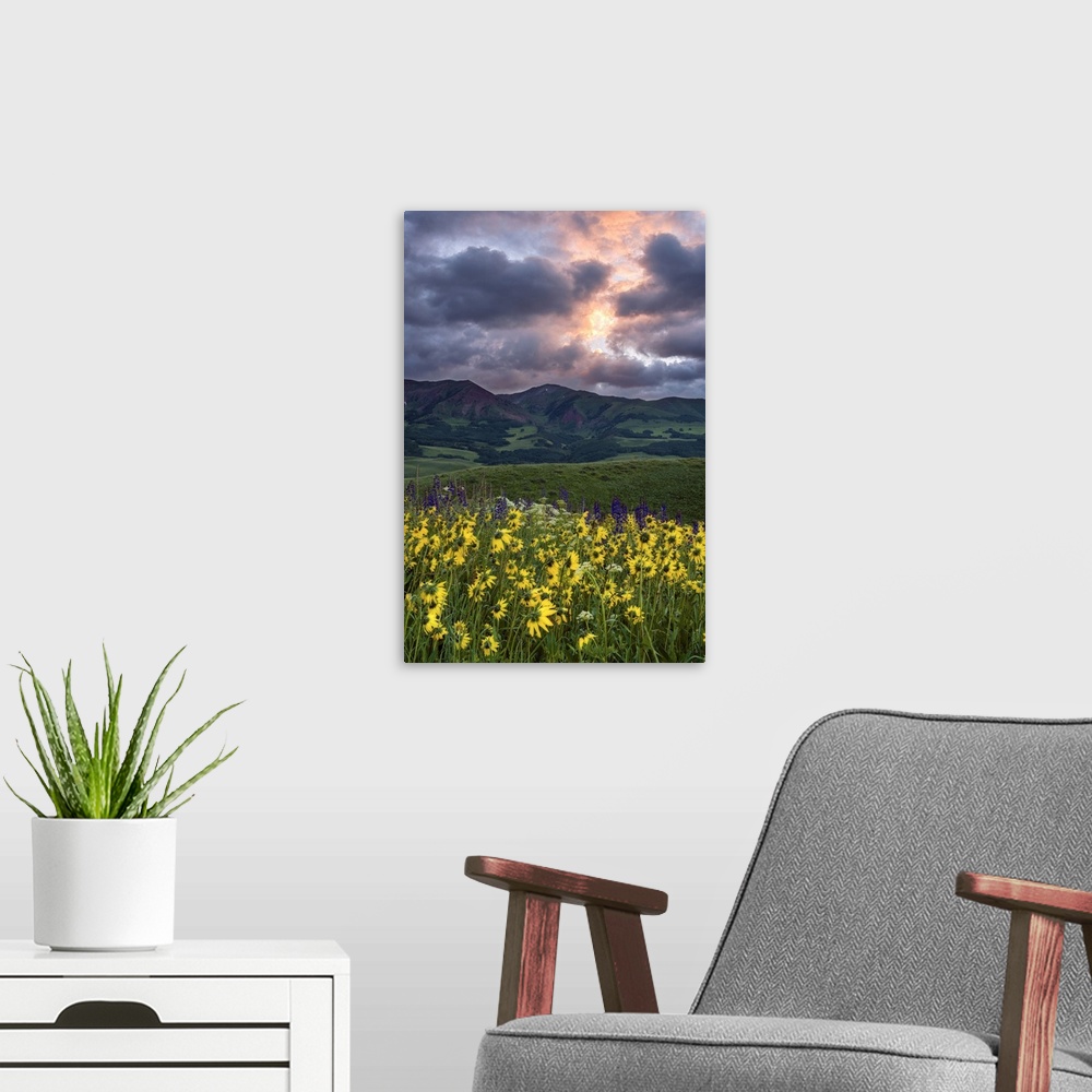 A modern room featuring A photograph of a mountain range in a wilderness landscape with dramatic clouds hanging above.