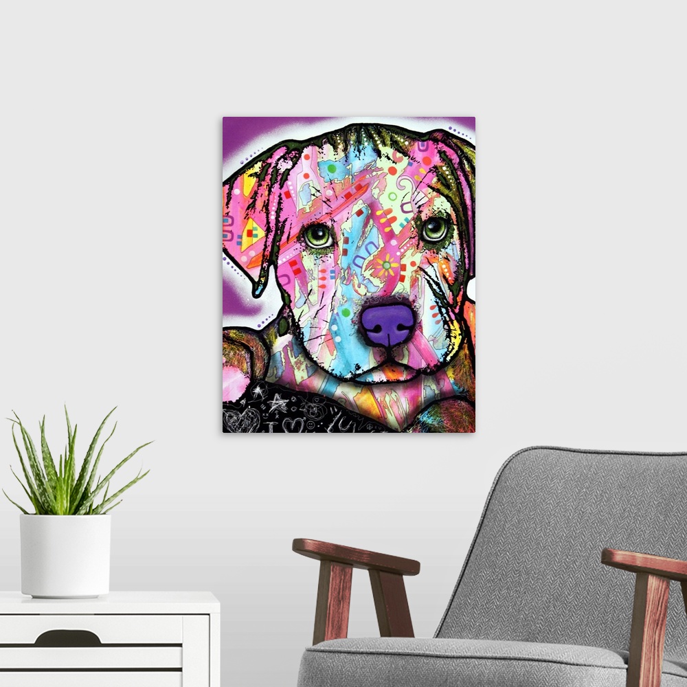 A modern room featuring Dog, Puppy, Pitbull