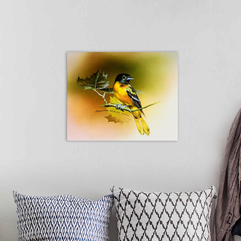 A bohemian room featuring Baltimore Oriole