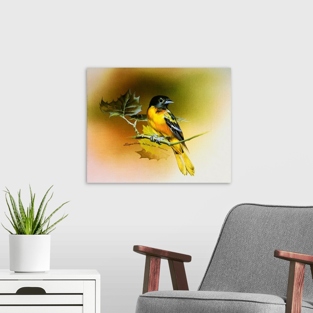 A modern room featuring Baltimore Oriole