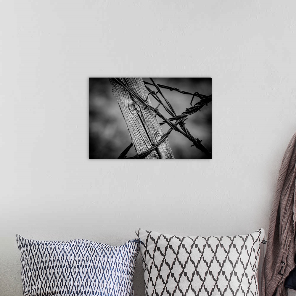 A bohemian room featuring Close-up black and white photograph of a wood post with barbwire wrapped around it.